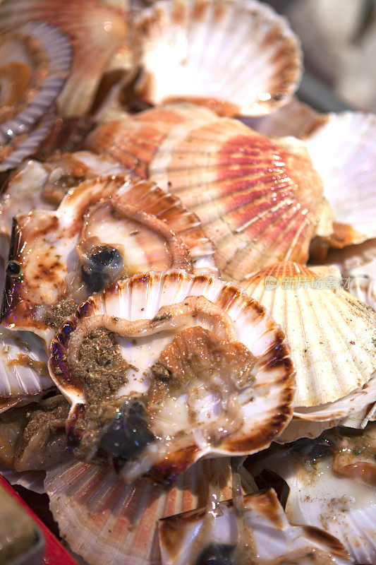 扇贝壳废弃物(Coquilles Saint Jacques)